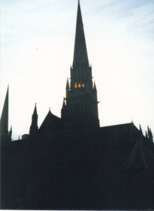 St.Pat's cathedral Melbourne at sunset